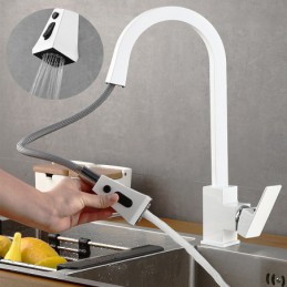 Einhebel-Küchenarmatur mit...