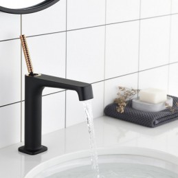 Montierter schwarzer...